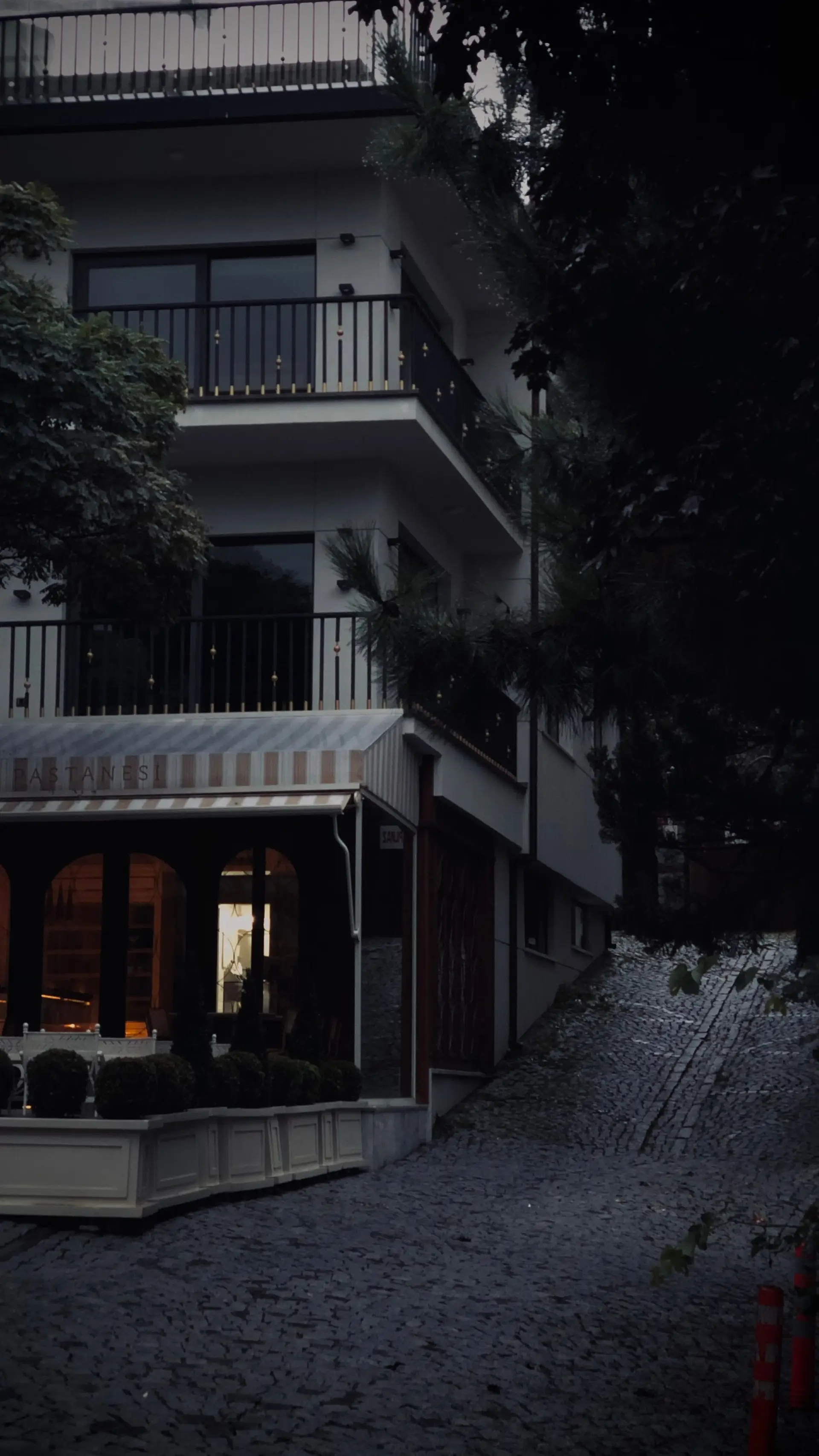 VelorianvelvetHouse luxury exterior at dusk