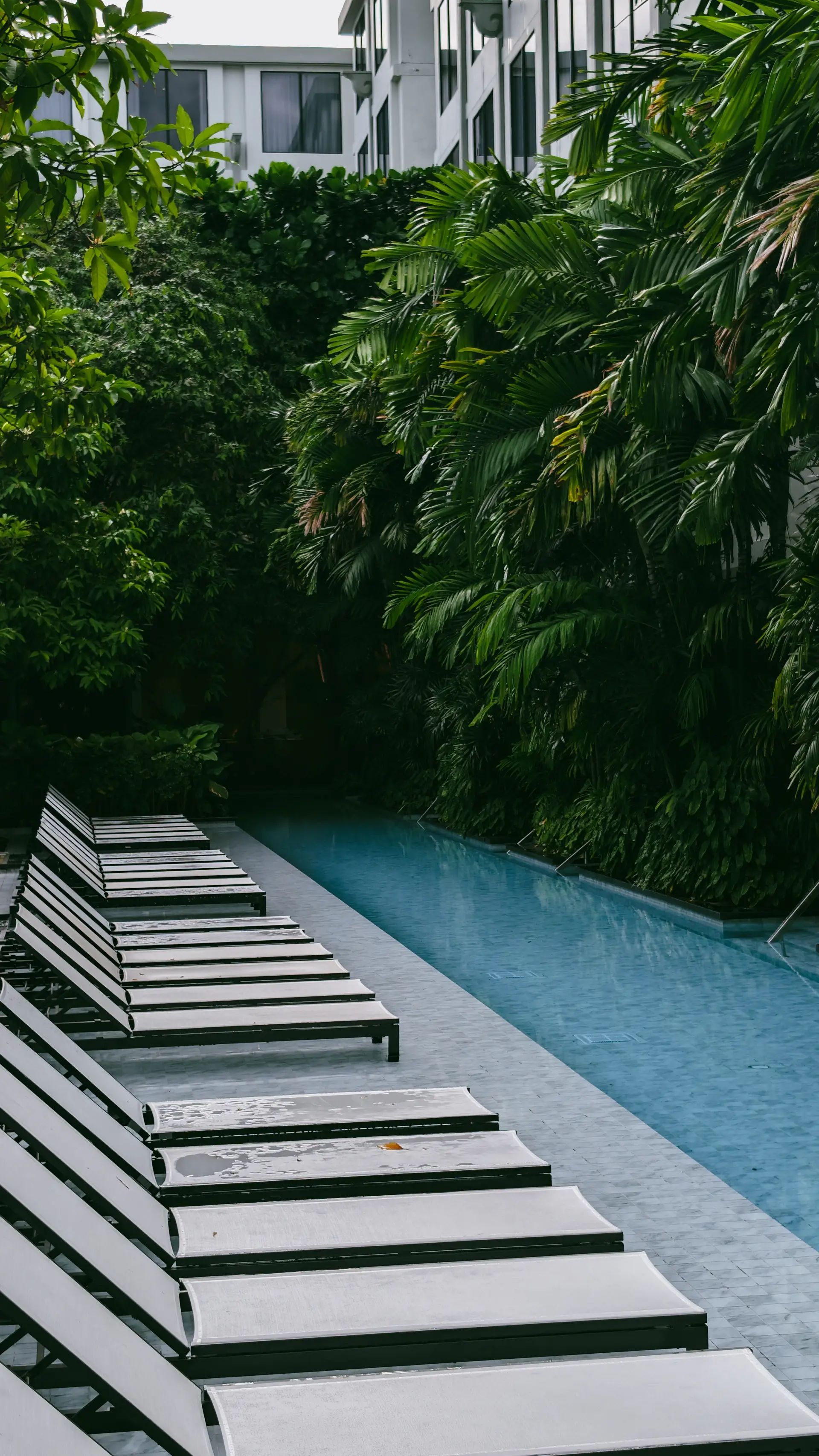 Tropical poolside relaxation area